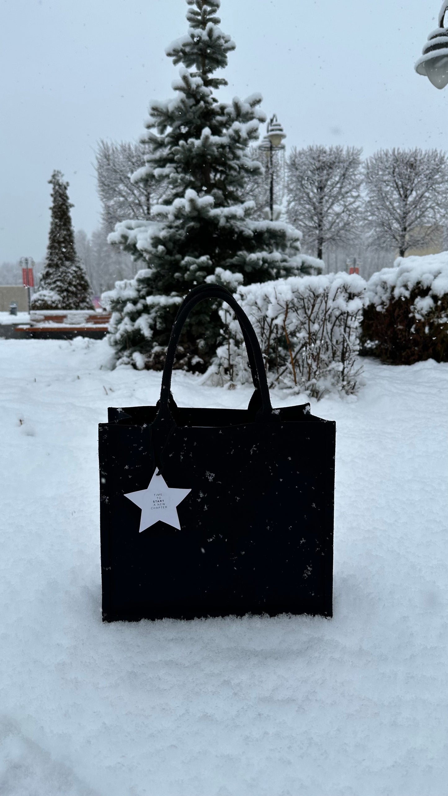 Tote bag 2025