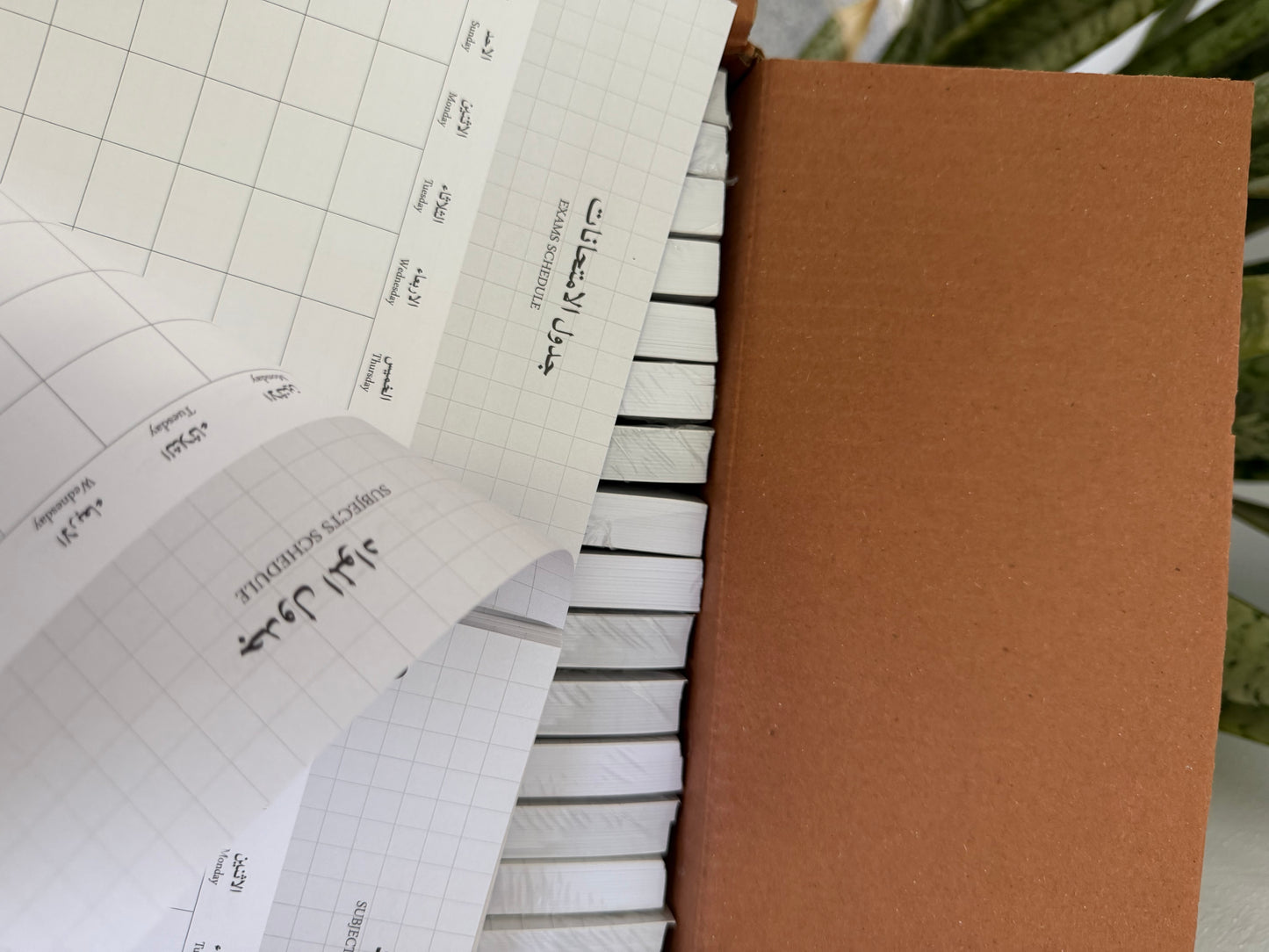 STUDY PLANNER 2026-2027
