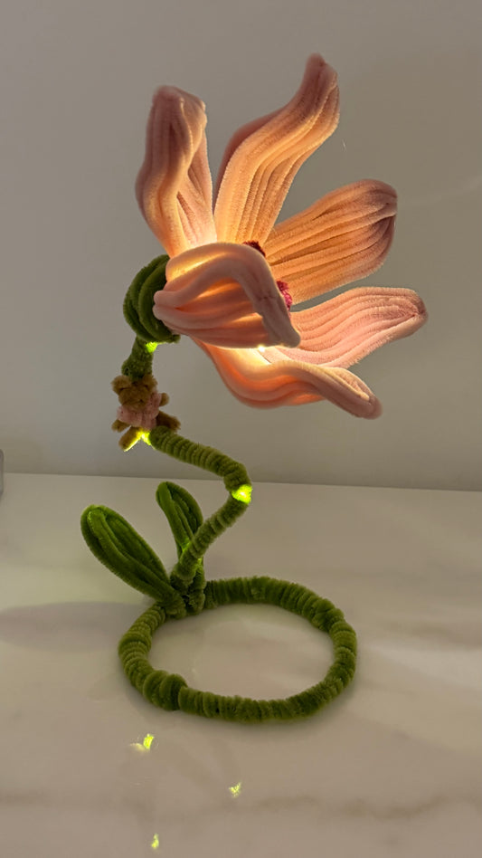 Make ur flower or jellyfish lamp 29/AUG